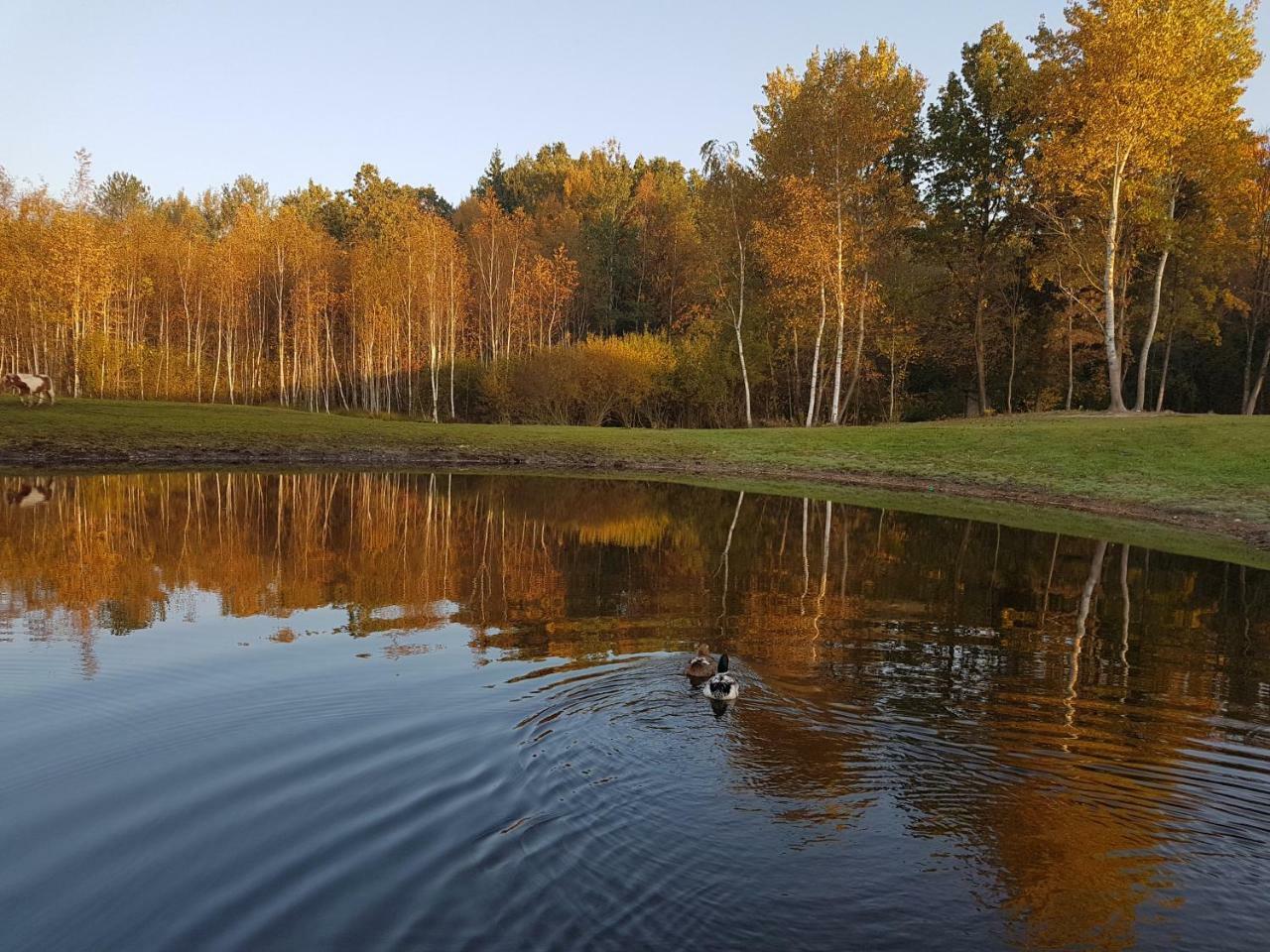 Villa Cheval Aukštadvaris Zewnętrze zdjęcie