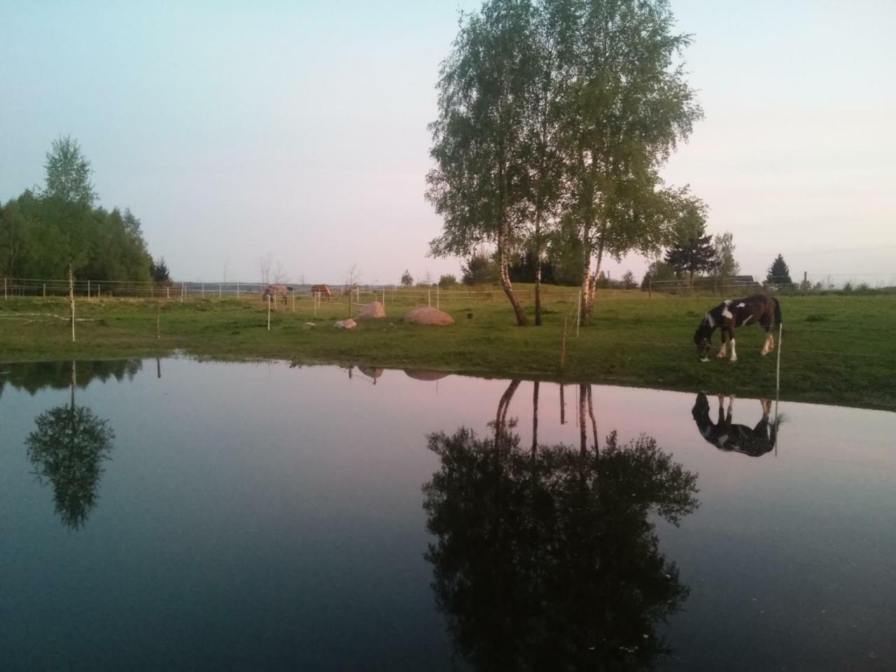 Villa Cheval Aukštadvaris Zewnętrze zdjęcie