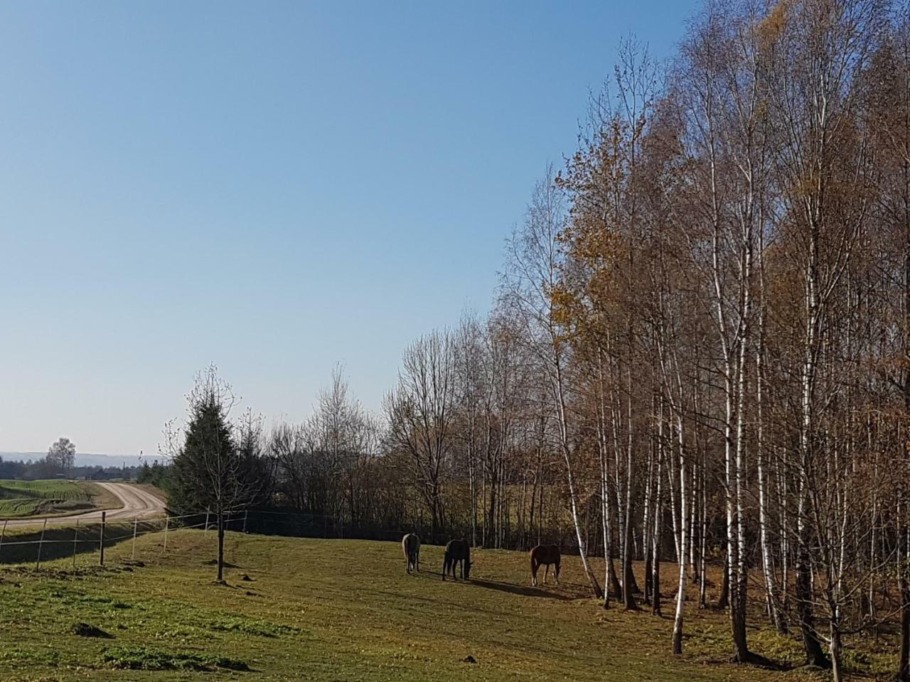 Villa Cheval Aukštadvaris Zewnętrze zdjęcie