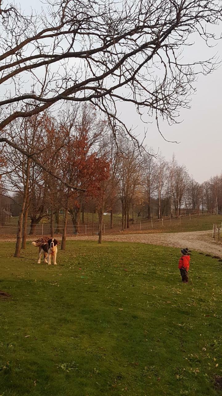 Villa Cheval Aukštadvaris Zewnętrze zdjęcie