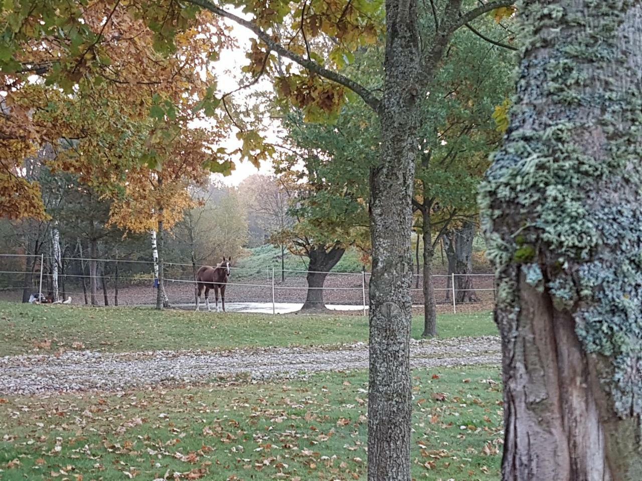 Villa Cheval Aukštadvaris Zewnętrze zdjęcie