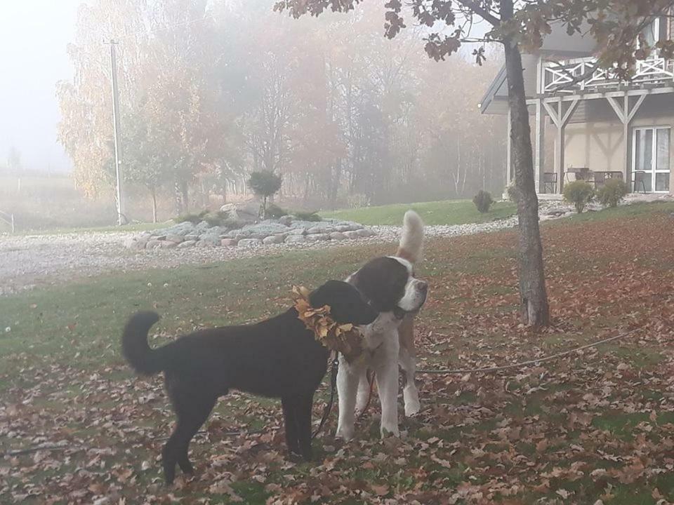 Villa Cheval Aukštadvaris Zewnętrze zdjęcie