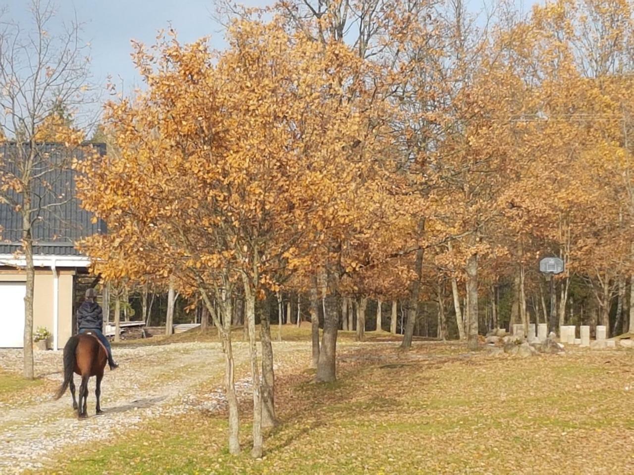 Villa Cheval Aukštadvaris Zewnętrze zdjęcie